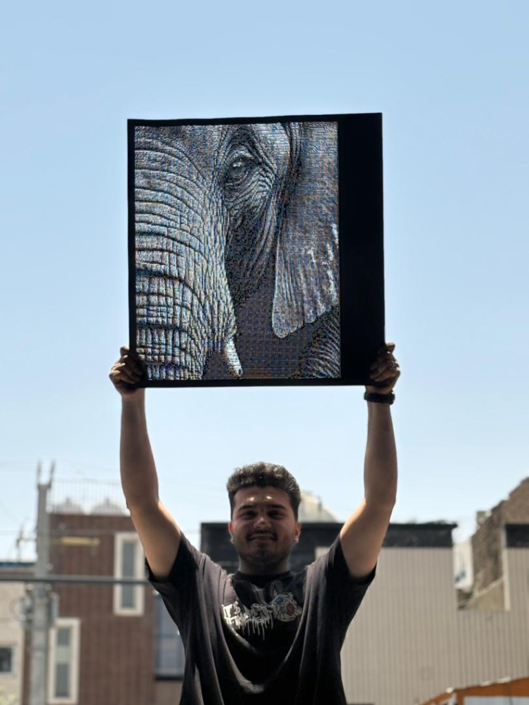 تخصص و تجربه