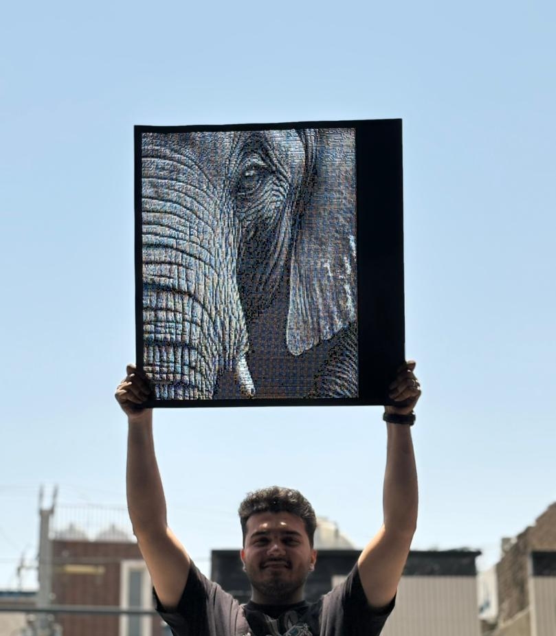 تخصص و تجربه